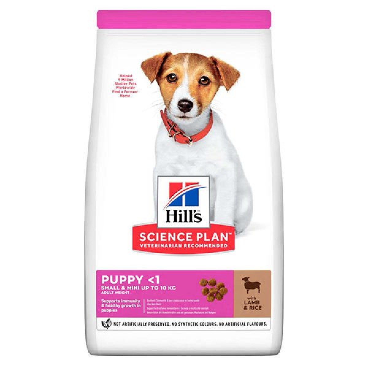 Hills Puppy Small & Mini Kuzu Etli Küçük Irk Yavru Köpek Maması 1+500 Gr Hediyeli Hills Puppy Small & Mini Kuzu Etli Küçük Irk Yavru Köpek Maması 1+500 Gr Hediyeli