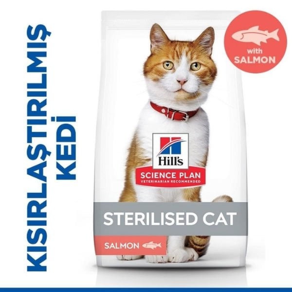 Hills Somonlu Kısırlaştırılmış Yetişkin Kedi Maması 13+2 Kg Hediyeli Hills Somonlu Kısırlaştırılmış Yetişkin Kedi Maması 13+2 Kg Hediyeli