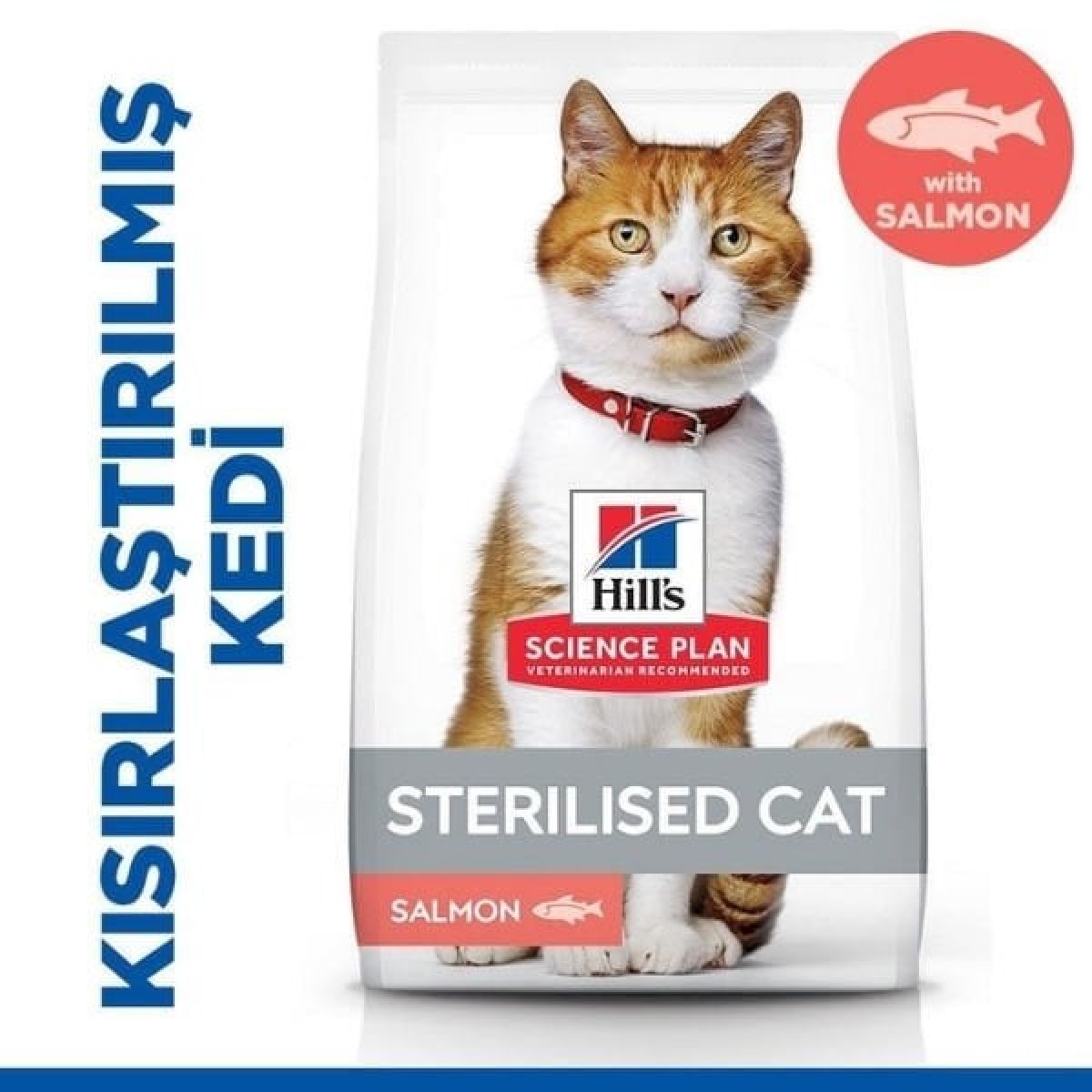 Hills Somonlu Kısırlaştırılmış Yetişkin Kedi Maması 8+2 Kg Hediyeli Hills Somonlu Kısırlaştırılmış Yetişkin Kedi Maması 8+2 Kg Hediyeli