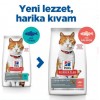 Hills Somonlu Kısırlaştırılmış Yetişkin Kedi Maması 8+2 Kg Hediyeli Hills Somonlu Kısırlaştırılmış Yetişkin Kedi Maması 8+2 Kg Hediyeli
