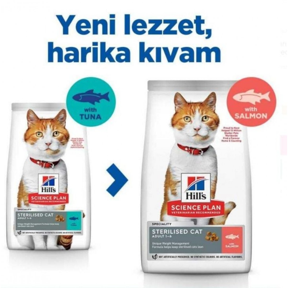 Hills Somonlu Kısırlaştırılmış Yetişkin Kedi Maması 8+2 Kg Hediyeli Hills Somonlu Kısırlaştırılmış Yetişkin Kedi Maması 8+2 Kg Hediyeli