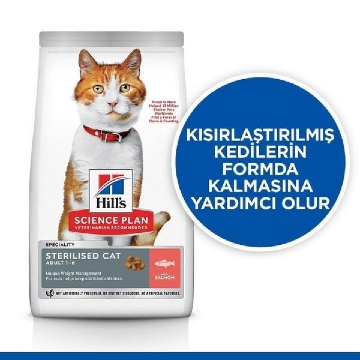 Hills Somonlu Kısırlaştırılmış Yetişkin Kedi Maması 8+2 Kg Hediyeli Hills Somonlu Kısırlaştırılmış Yetişkin Kedi Maması 8+2 Kg Hediyeli