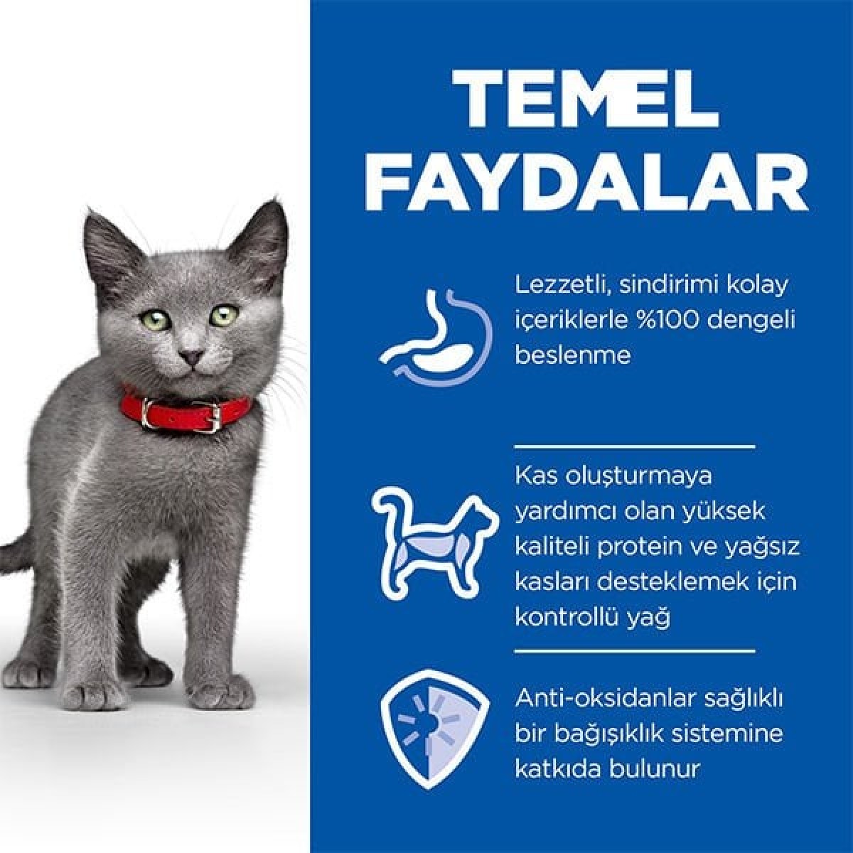Hills Sterilised Kitten Tavuklu Kısırlaştırılmış Yavru Kedi Maması 10 Kg Hills Sterilised Kitten Tavuklu Kısırlaştırılmış Yavru Kedi Maması 10 Kg