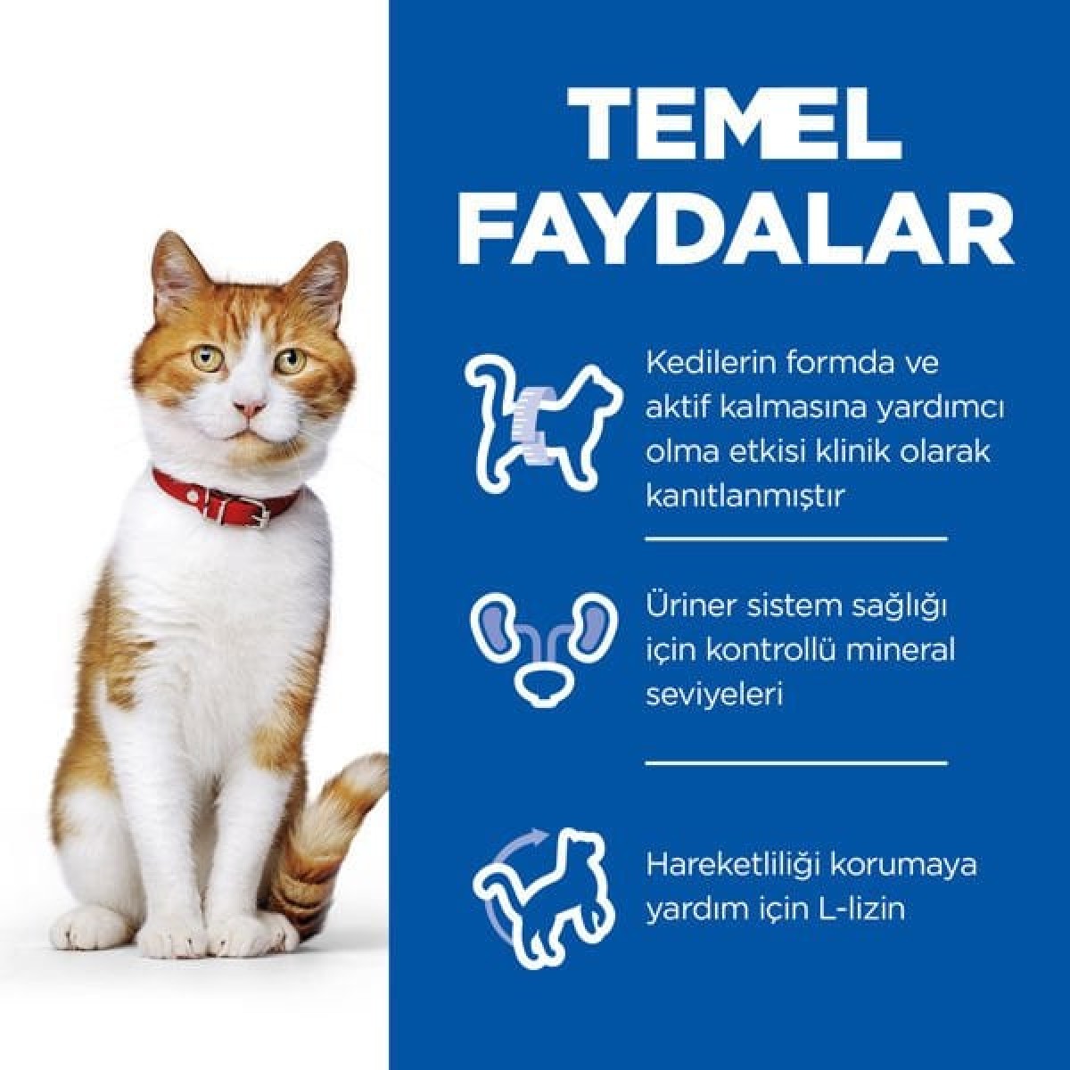 Hills Young Sterilised Ördekli Kısırlaştırılmış Kedi Maması 1.5 Kg Hills Young Sterilised Ördekli Kısırlaştırılmış Kedi Maması 1.5 Kg