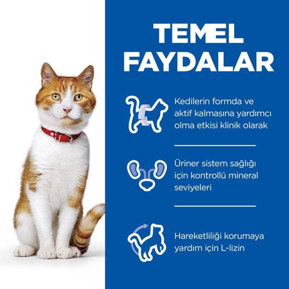 Hills Young Sterilised Tavuklu Kısırlaştırılmış Kedi Maması 8+2 Kg