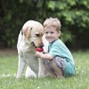 Kong Classic Ödül Hazneli Köpek Oyuncağı Xxlarge 15.5 Cm Kong Classic Ödül Hazneli Köpek Oyuncağı Xxlarge 15.5 Cm