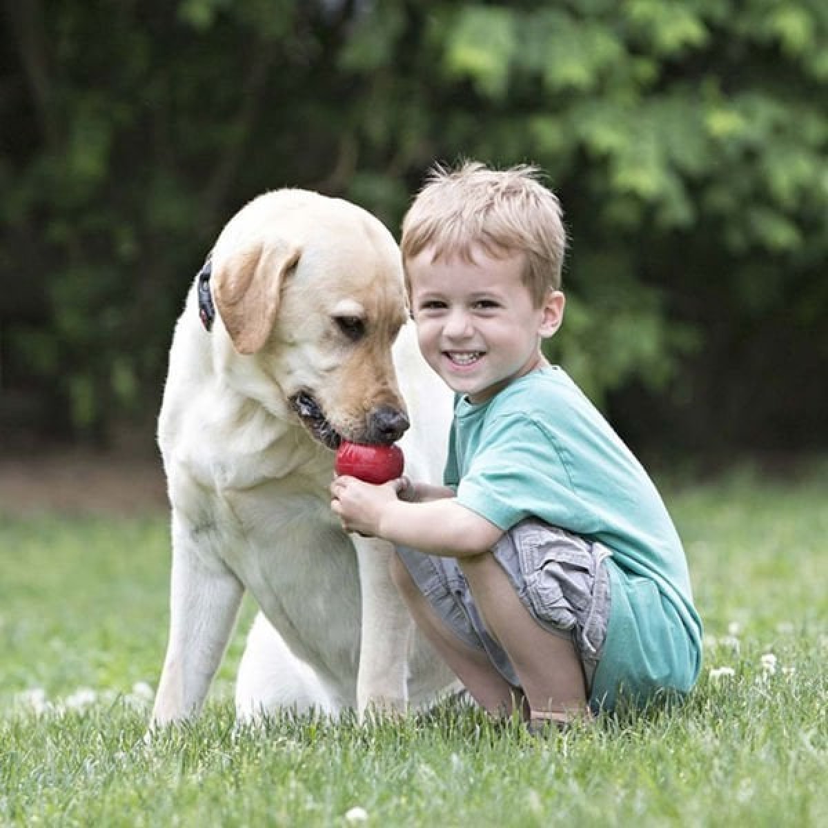 Kong Classic Ödül Hazneli Köpek Oyuncağı Xxlarge 15.5 Cm Kong Classic Ödül Hazneli Köpek Oyuncağı Xxlarge 15.5 Cm