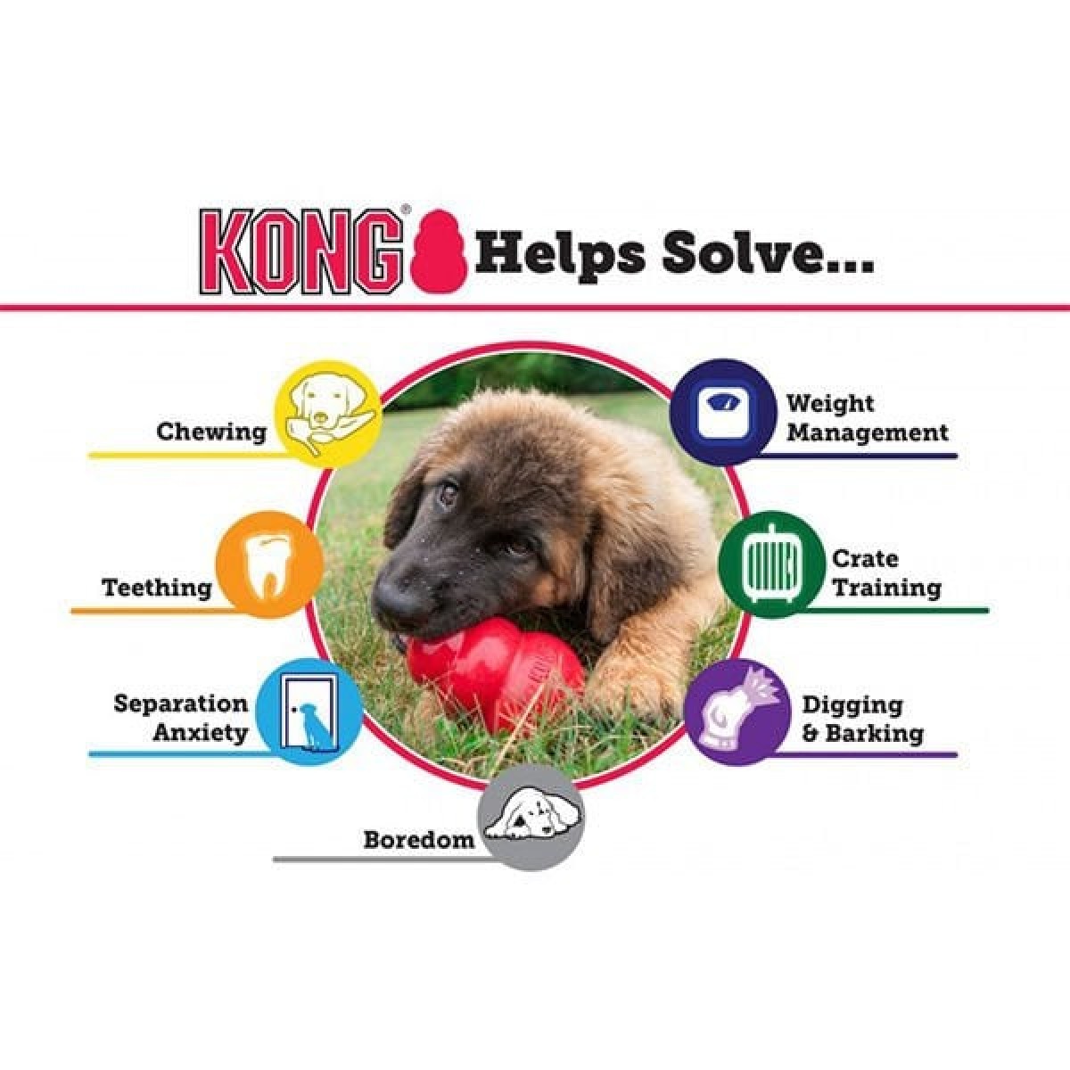 Kong Extreme Ödül Hazneli Köpek Oyuncağı Medium 9 Cm Kong Extreme Ödül Hazneli Köpek Oyuncağı Medium 9 Cm