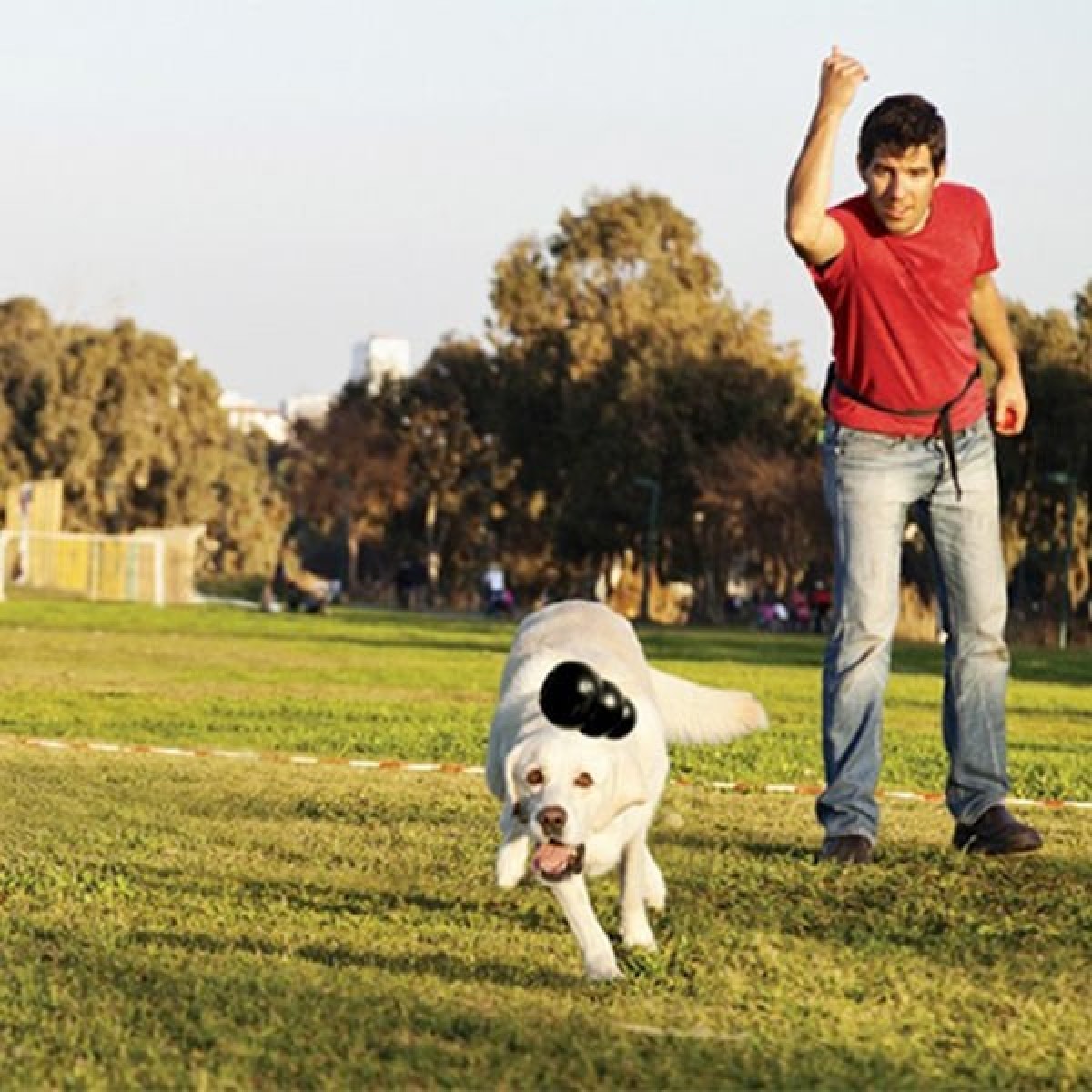 Kong Extreme Ödül Hazneli Köpek Oyuncağı Small 8 Cm Kong Extreme Ödül Hazneli Köpek Oyuncağı Small 8 Cm