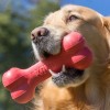 Kong Kemik Şeklinde Kauçuk Köpek Oyuncağı Medium 18 Cm Kırmızı Kong Kemik Şeklinde Kauçuk Köpek Oyuncağı Medium 18 Cm Kırmızı