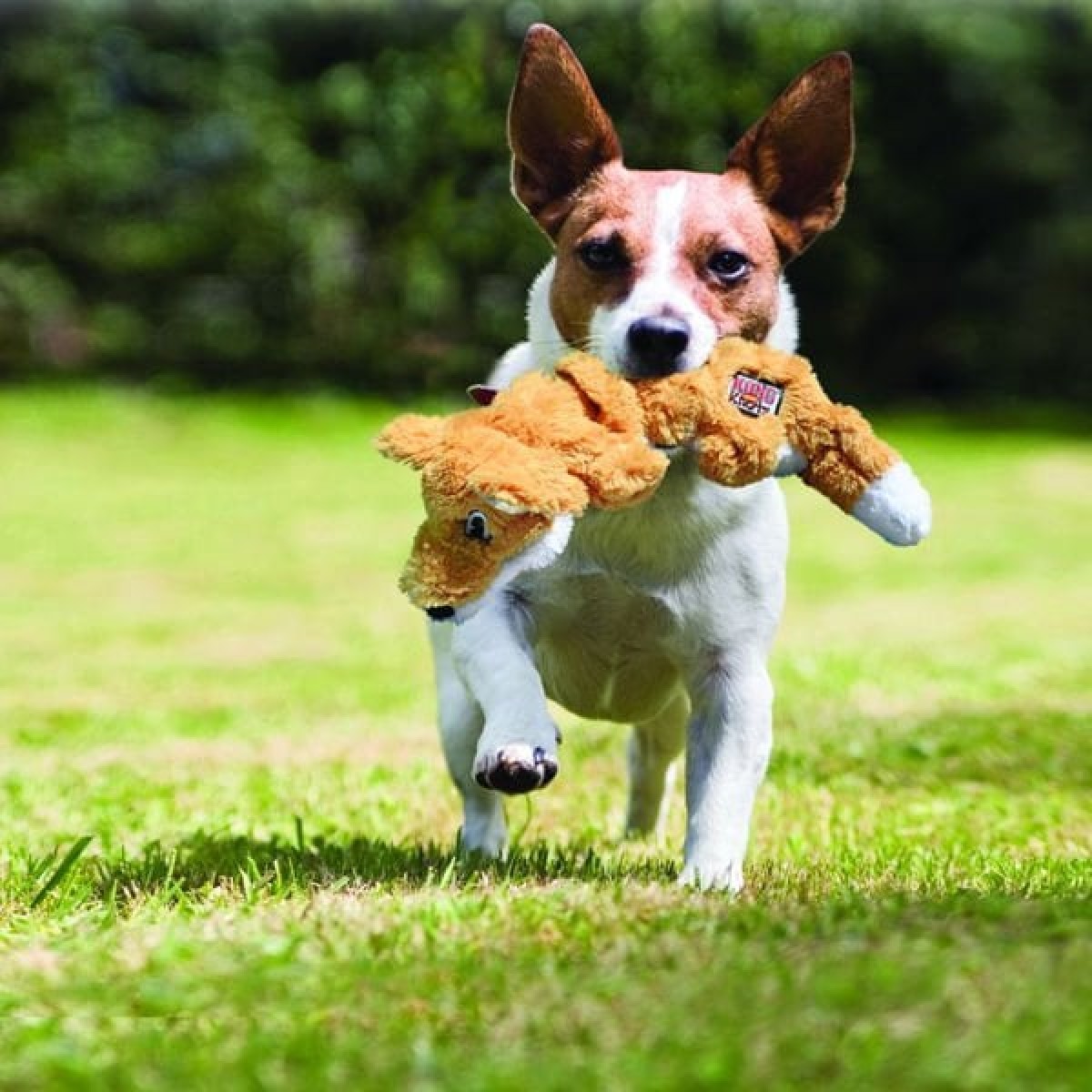 Kong Knots Tilki Peluş Köpek Oyuncağı Large 39 Cm Kong Knots Tilki Peluş Köpek Oyuncağı Large 39 Cm