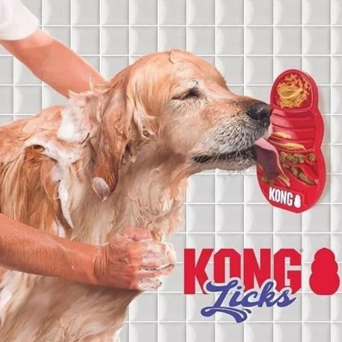 Kong Licks Köpekler İçin Sıvı Ödül Maması Oyuncağı Large Kong Licks Köpekler İçin Sıvı Ödül Maması Oyuncağı Large