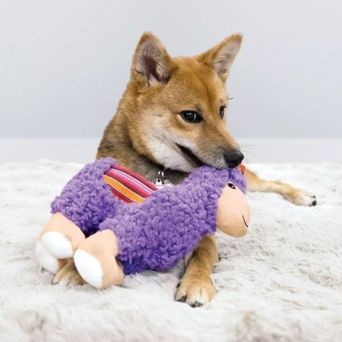 Kong Sherps Lama Şeklinde Peluş Köpek Oyuncağı Medium Kong Sherps Lama Şeklinde Peluş Köpek Oyuncağı Medium