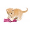 Kong Yavru Kedi Oyuncak, Kediotlu Kickeroo 22 Cm Kong Yavru Kedi Oyuncak, Kediotlu Kickeroo 22 Cm