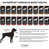 Lindo Dogs Aqua İçi Fileli Su Geçirmez Köpek Yağmurluğu Mavi Beden 8 Lindo Dogs Aqua İçi Fileli Su Geçirmez Köpek Yağmurluğu Mavi Beden 8