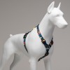 Lindo Dogs Enjoy H Tipi Köpek Göğüs Tasması Renkli Beden Small Lindo Dogs Enjoy H Tipi Köpek Göğüs Tasması Renkli Beden Small