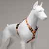Lindo Dogs Gingerman H Tipi Köpek Göğüs Tasması Turuncu Beden Large Lindo Dogs Gingerman H Tipi Köpek Göğüs Tasması Turuncu Beden Large