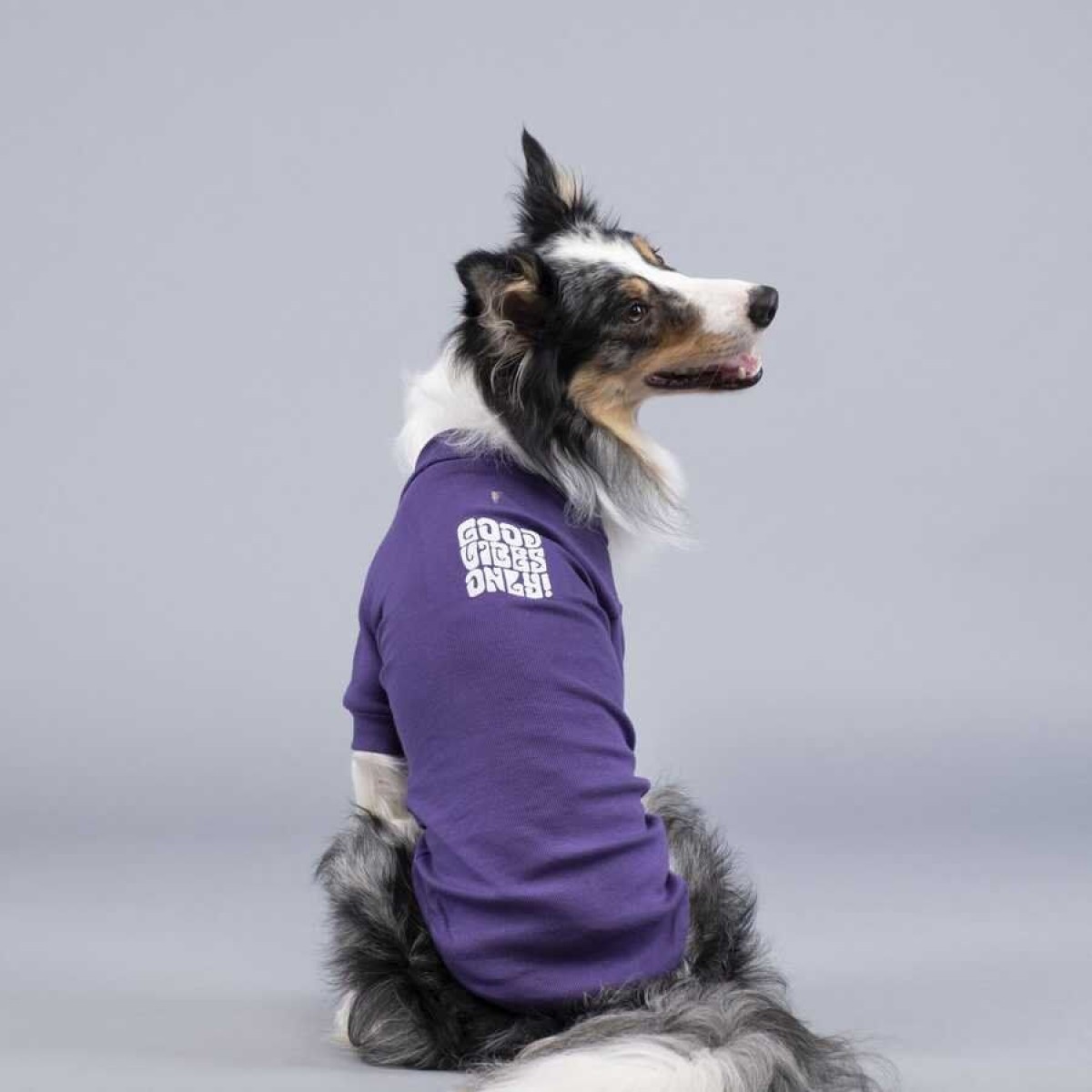 Lindo Dogs Good Vibes Only Flex Köpek Kıyafeti Tshirt Mavi Beden 1 Lindo Dogs Good Vibes Only Flex Köpek Kıyafeti Tshirt Mavi Beden 1