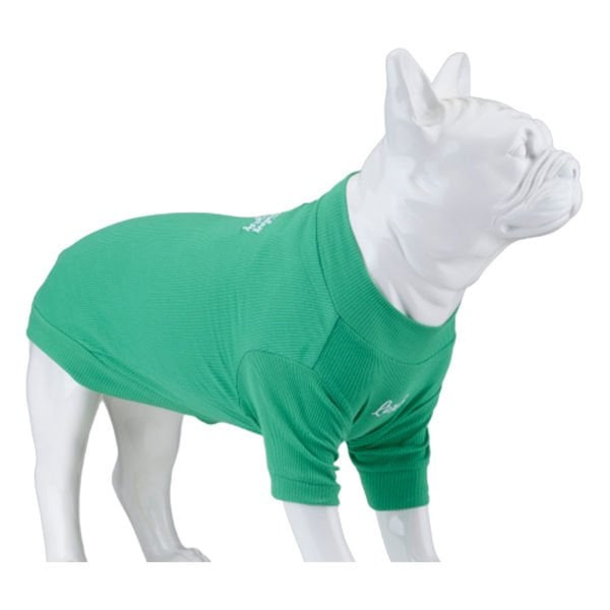 Lindo Dogs Make Today Amazing Köpek Kıyafeti Tshirt Yeşil Beden 2 Lindo Dogs Make Today Amazing Köpek Kıyafeti Tshirt Yeşil Beden 2