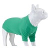 Lindo Dogs Make Today Amazing Köpek Kıyafeti Tshirt Yeşil Beden 5 Lindo Dogs Make Today Amazing Köpek Kıyafeti Tshirt Yeşil Beden 5