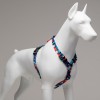 Lindo Dogs Red Line H Tipi Köpek Göğüs Tasması Kırmızı/Mavi Beden Large Lindo Dogs Red Line H Tipi Köpek Göğüs Tasması Kırmızı/Mavi Beden Large