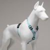 Lindo Dogs Touch H Tipi Köpek Göğüs Tasması Beden Beyaz/Mavi Small Lindo Dogs Touch H Tipi Köpek Göğüs Tasması Beden Beyaz/Mavi Small