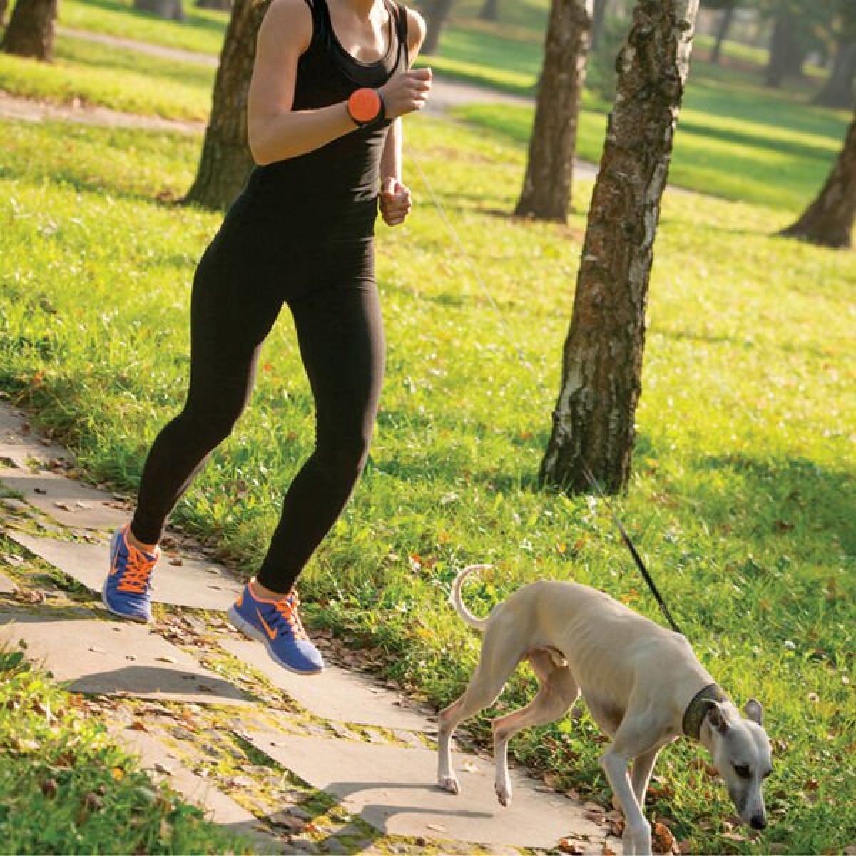 Lishinu Bungee Akıllı Köpek Gezdirme Tasması Beyaz Large