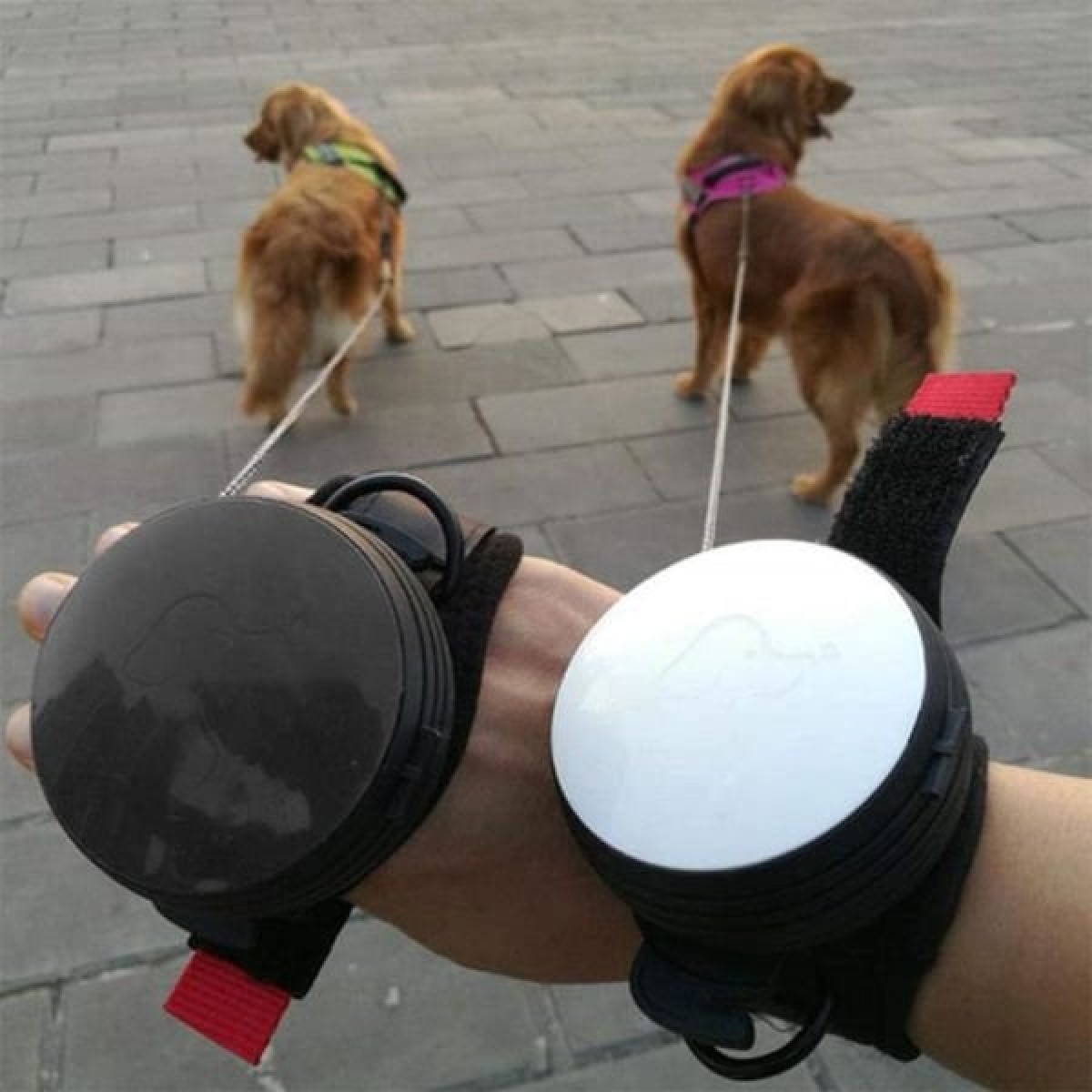 Lishinu Bungee Akıllı Köpek Gezdirme Tasması Pembe Large Lishinu Bungee Akıllı Köpek Gezdirme Tasması Pembe Large