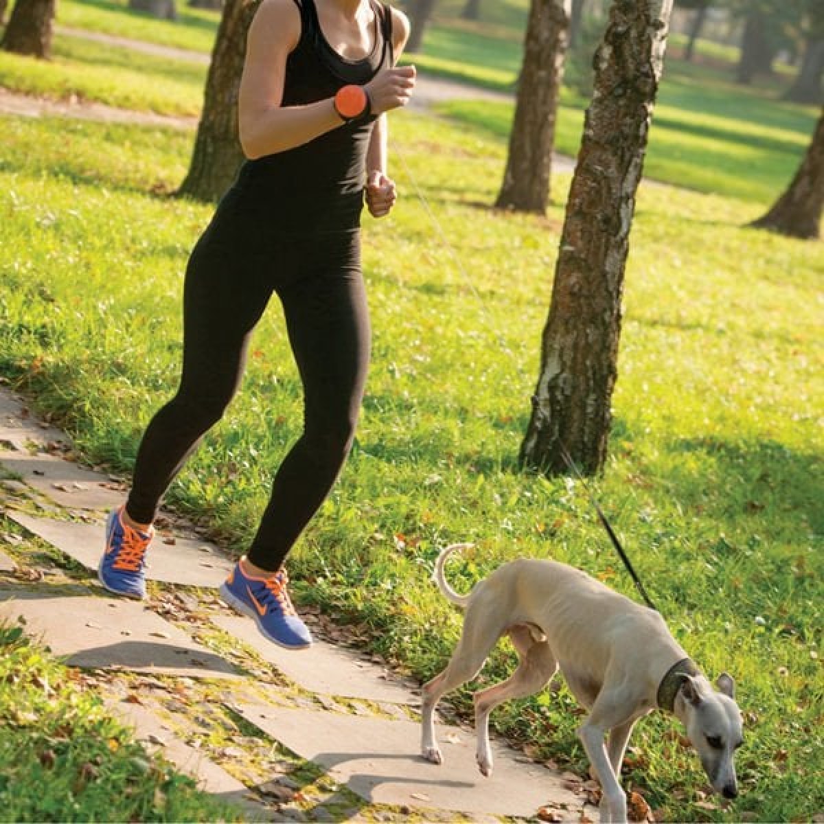 Lishinu Bungee Akıllı Köpek Gezdirme Tasması Pembe Large Lishinu Bungee Akıllı Köpek Gezdirme Tasması Pembe Large