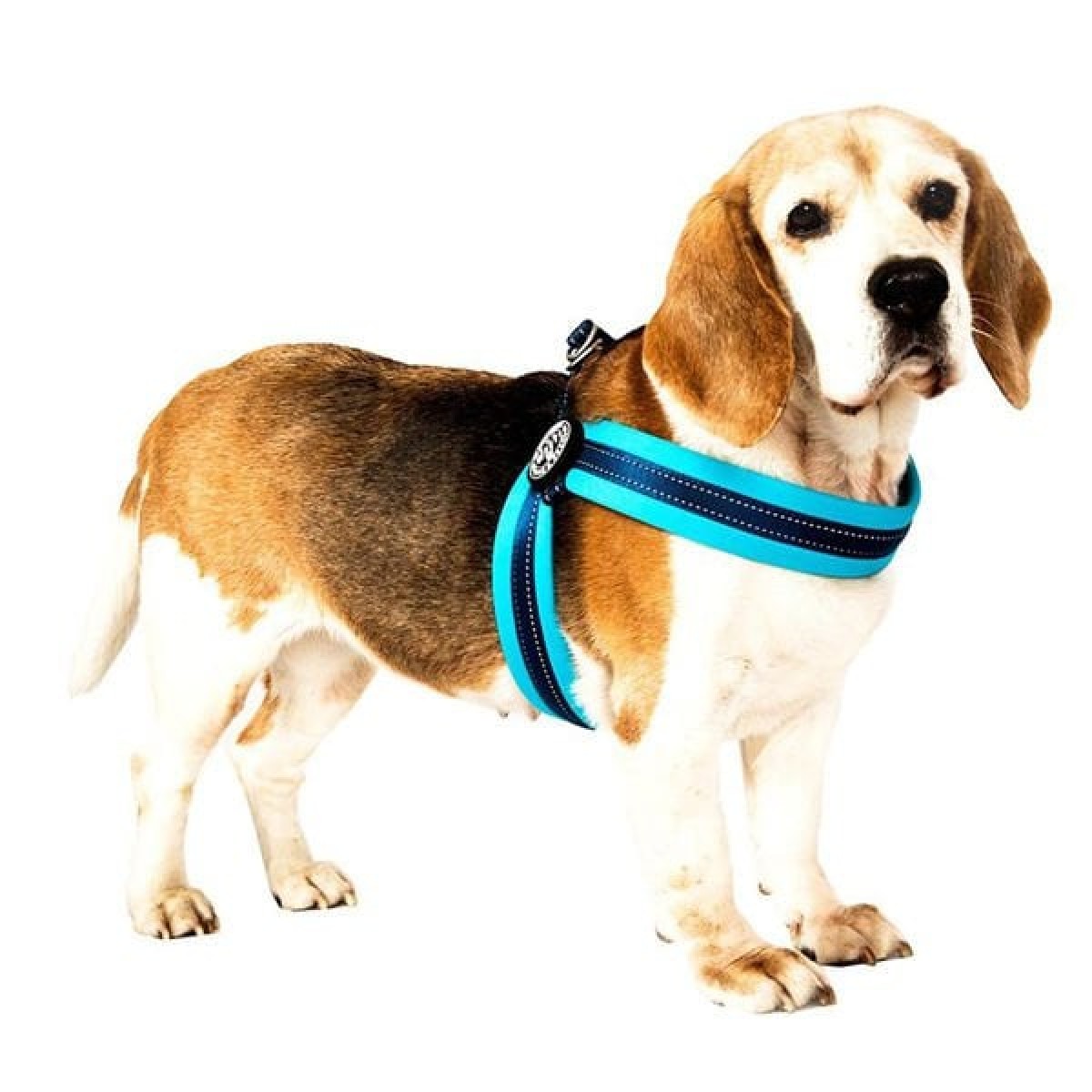 Max & Molly Q-Fit Matrix Köpek Göğüs Tasması Xlarge Pembe 58-62 Cm Max & Molly Q-Fit Matrix Köpek Göğüs Tasması Xlarge Pembe 58-62 Cm