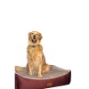 Peggy Lola Köpek Yatağı Bej Bordo Small 50x38x25 Cm Peggy Lola Köpek Yatağı Bej Bordo Small 50x38x25 Cm