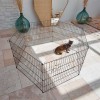 Petpretty Kedi ve Köpekler için Bahçe Çiti 75x69 Cm Petpretty Kedi ve Köpekler için Bahçe Çiti 75x69 Cm