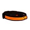 Petzz Işıklı Ayarlanabilir Flaşörlü Kedi ve Köpek Boyun Tasması Kırmızı 40-48 Cm / 2.5 Cm Petzz Işıklı Ayarlanabilir Flaşörlü Kedi ve Köpek Boyun Tasması Kırmızı 40-48 Cm / 2.5 Cm