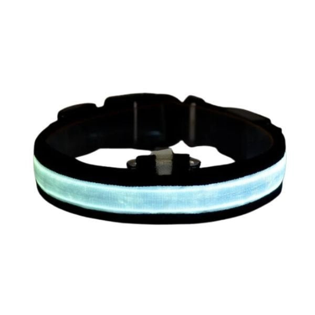 Petzz Işıklı Ayarlanabilir Flaşörlü Kedi ve Köpek Boyun Tasması Mavi 45-52 Cm / 2.5 Cm Petzz Işıklı Ayarlanabilir Flaşörlü Kedi ve Köpek Boyun Tasması Mavi 45-52 Cm / 2.5 Cm