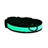 Petzz Işıklı Ayarlanabilir Flaşörlü Kedi ve Köpek Boyun Tasması Yeşil 52-60 Cm / 2.5 Cm Petzz Işıklı Ayarlanabilir Flaşörlü Kedi ve Köpek Boyun Tasması Yeşil 52-60 Cm / 2.5 Cm