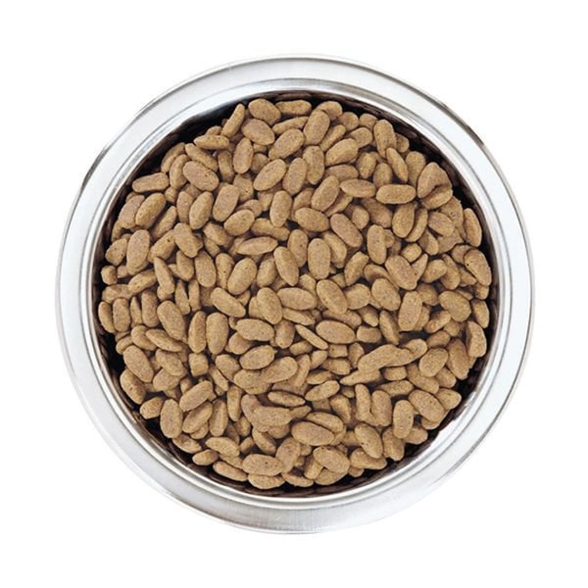 Pro Plan Adult Small Somonlu Yetişkin Köpek Maması 7 Kg Pro Plan Adult Small Somonlu Yetişkin Köpek Maması 7 Kg