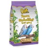 Quik Junior Yavru Muhabbet Kuşu Yemi 400 Gr Quik Junior Yavru Muhabbet Kuşu Yemi 400 Gr