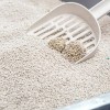 Reflex Granül Aktif Karbonlu Topaklanan Doğal Kedi Kumu 10 Lt Reflex Granül Aktif Karbonlu Topaklanan Doğal Kedi Kumu 10 Lt