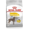 Royal Canin Adult Maxi Dermacomfort Yetişkin Köpek Maması 12 Kg Royal Canin Adult Maxi Dermacomfort Yetişkin Köpek Maması 12 Kg