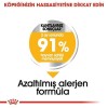 Royal Canin Adult Maxi Dermacomfort Yetişkin Köpek Maması 12 Kg Royal Canin Adult Maxi Dermacomfort Yetişkin Köpek Maması 12 Kg
