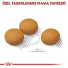Royal Canin Adult Maxi Dermacomfort Yetişkin Köpek Maması 12 Kg Royal Canin Adult Maxi Dermacomfort Yetişkin Köpek Maması 12 Kg