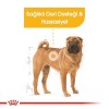 Royal Canin Adult Medium Dermacomfort Yetişkin Köpek Maması 12 Kg