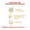 Royal Canin Chihuahua Adult Yetişkin Köpek Maması 1.5 Kg Royal Canin Chihuahua Adult Yetişkin Köpek Maması 1.5 Kg