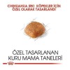 Royal Canin Chihuahua Adult Yetişkin Köpek Maması 1.5 Kg Royal Canin Chihuahua Adult Yetişkin Köpek Maması 1.5 Kg