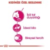 Royal Canin Exigent Savour Seçici Yetişkin Kedi Maması 2 Kg Royal Canin Exigent Savour Seçici Yetişkin Kedi Maması 2 Kg