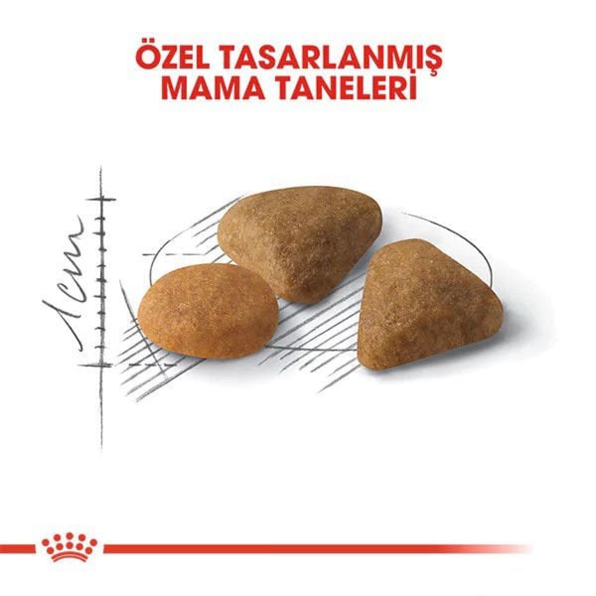 Royal Canin Exigent Savour Seçici Yetişkin Kedi Maması 2 Kg Royal Canin Exigent Savour Seçici Yetişkin Kedi Maması 2 Kg