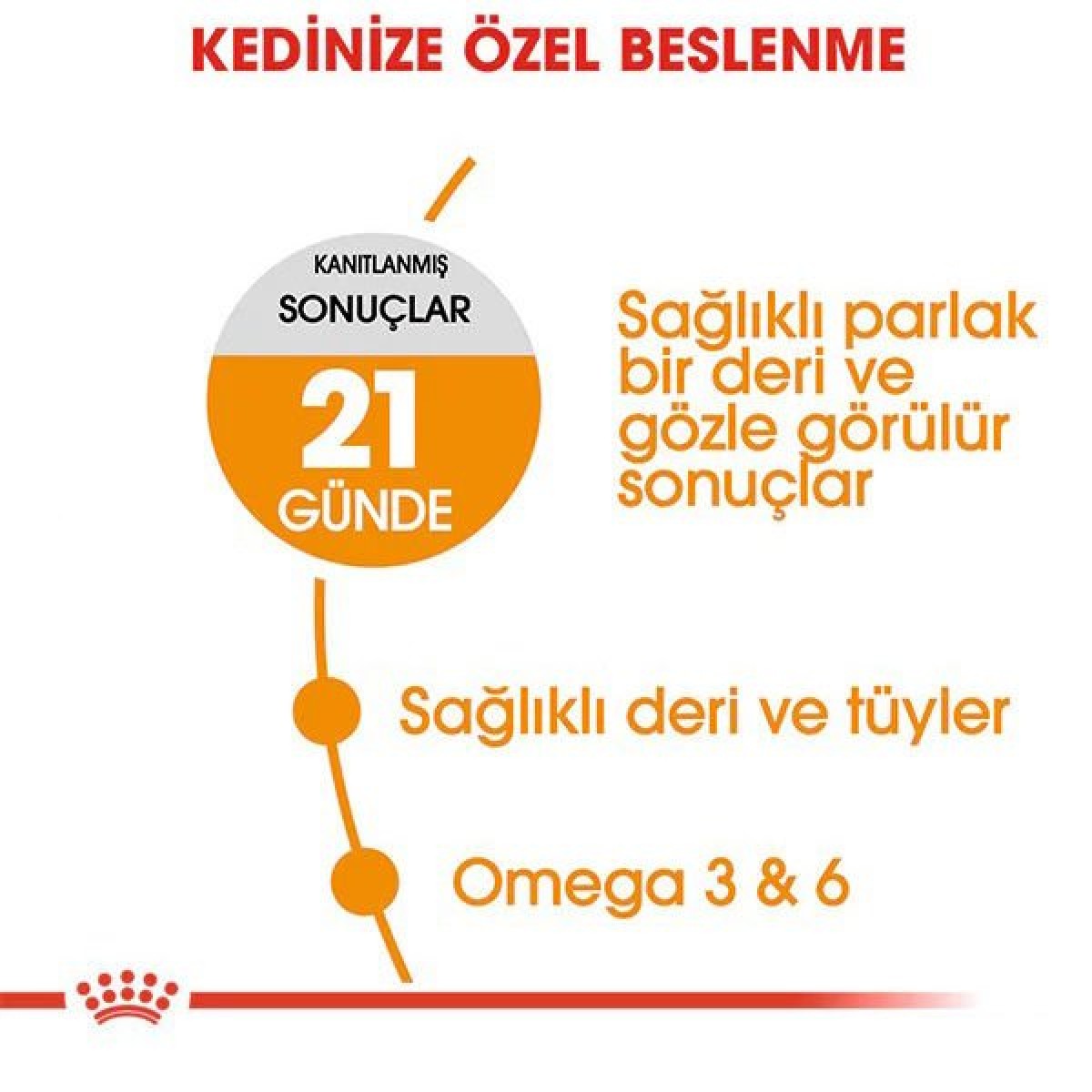 Royal Canin Hair Skin Deri ve Tüy Sağlığı için Kedi Maması 4 Kg