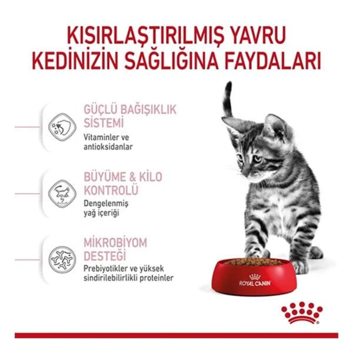 Royal Canin Kitten Sterilised Yavru Kısırlaştırılmış Kedi Maması 2 Kg