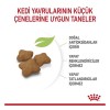 Royal Canin Kitten Sterilised Yavru Kısırlaştırılmış Kedi Maması 2 Kg