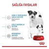 Royal Canin Mini Starter Anne ve Yavru Köpek Maması 4 Kg Royal Canin Mini Starter Anne ve Yavru Köpek Maması 4 Kg
